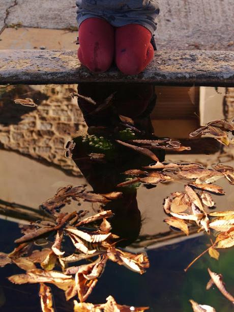 CONCURSO EL OTOÑO SABE BIEN. FINALISTAS