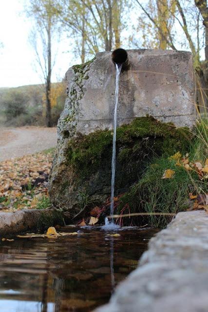 CONCURSO EL OTOÑO SABE BIEN. FINALISTAS CONCURSO EL OTOÑO SABE BIEN. FINALISTAS