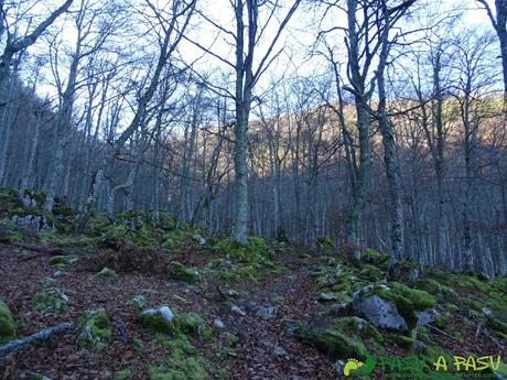 Ruta Gumial: Bosque otoñal