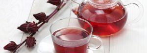 Los estudios afirman que el té verde es muy eficaz en la prevención del cáncer y la demencia Tés de dieta