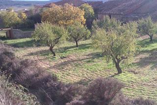 DE VUELTA AL PUEBLO