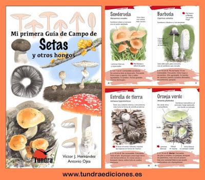 Mi primera Guía de Campo de Setas y otros hongos Mi primera Guía de Campo de Setas y otros hongos