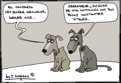 [Humor en cápsulas] Para hoy jueves, 14 de diciembre