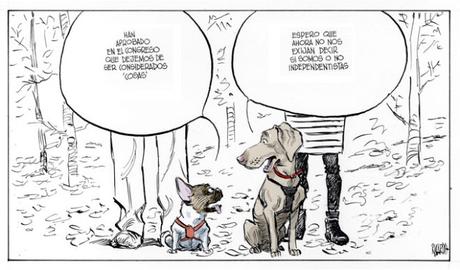 [Humor en cápsulas] Para hoy jueves, 14 de diciembre