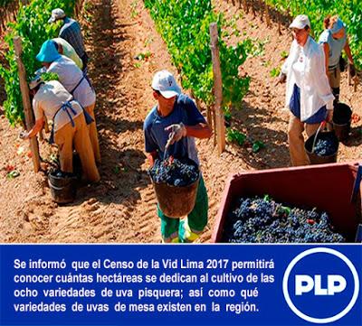 PROGRAMAN TALLER DE CAPACITACIÓN PARA EL I CENSO DE PRODUCTORES DE UVA EN LIMA PROVINCIAS…