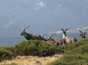 Desde asómate hoyos