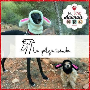 We Love Animals Market ¡No te lo pierdas! We Love Animals Market ¡No te lo pierdas!