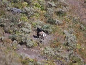 Abandonados y abatidos