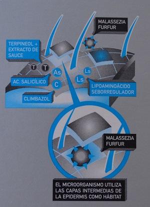 Probando el Champú Anticaspa – Caspa Grasa de PILEXIL (proyecto TRND)