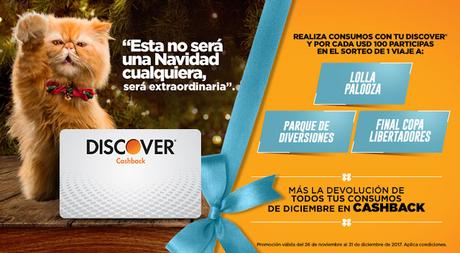 Con DISCOVER esta no será una NAVIDAD cualquiera, será ¡EXTRAORDINARIA!