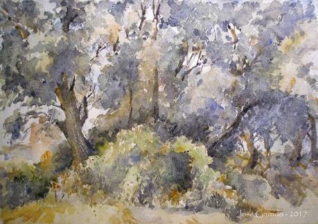 Acuarelas Diciembre 2017