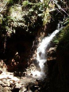 Mis dos viajes a San Martín de los Andes