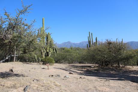 San Fernando del Valle de Catamarca