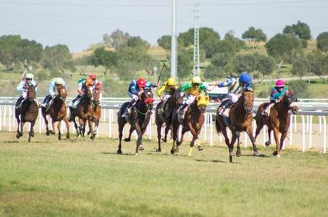 El Gran Hipódromo de Andalucía by The Jockey ofrece desde este domingo el espectáculo de las carreras de caballos El Gran Hipódromo de Andalucía by The Jockey ofrece desde este domingo el espectáculo de las carreras de caballos