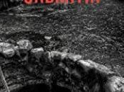 misterio Ondantin Agustín Cortamanero Descargar Gratis