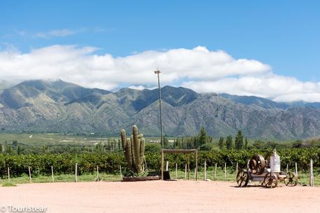 ¿Qué ver en Cafayate en un día? 5 visitas imprescindibles