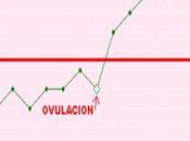 ¿Cómo Saber Estamos Ovulando?
