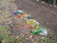 CONCLUSIÓN DEL EXPERIMENTO. tRASPLANTE DE HABAS CONCLUSIÓN DEL EXPERIMENTO. tRASPLANTE DE HABAS