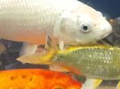 formas afrontar crisis, pero sólo funciona