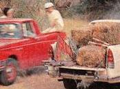 SIAM Argenta segunda versión