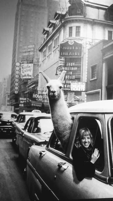 Exposición de fotografía Magnum: Hojas de contacto