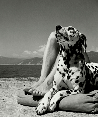 Exposición de fotografía Magnum: Hojas de contacto