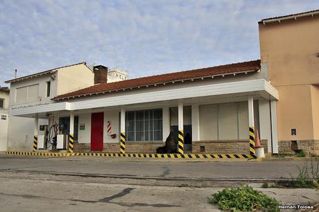 Salida pelágica en Mar del Plata (diciembre 2017) Salida pelágica en Mar del Plata (diciembre 2017)