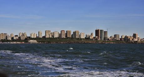 Salida pelágica en Mar del Plata (diciembre 2017) Salida pelágica en Mar del Plata (diciembre 2017)