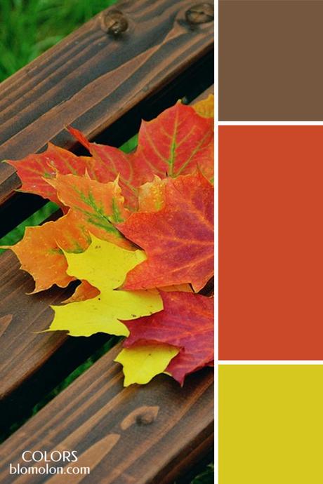 Plantillas Para Tus Paletas De Colores