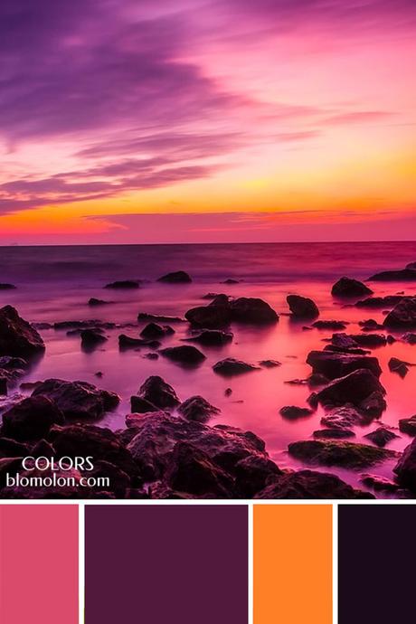 Plantillas Para Tus Paletas De Colores