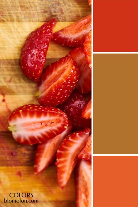 Plantillas Para Tus Paletas De Colores