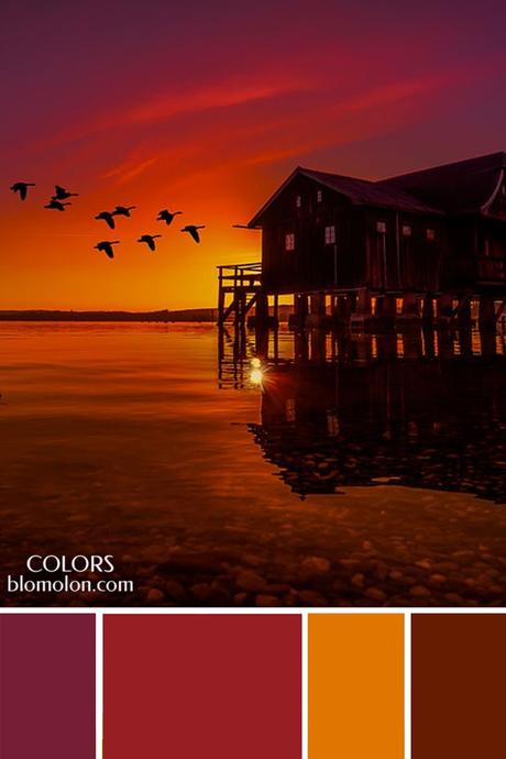 Plantillas Para Tus Paletas De Colores