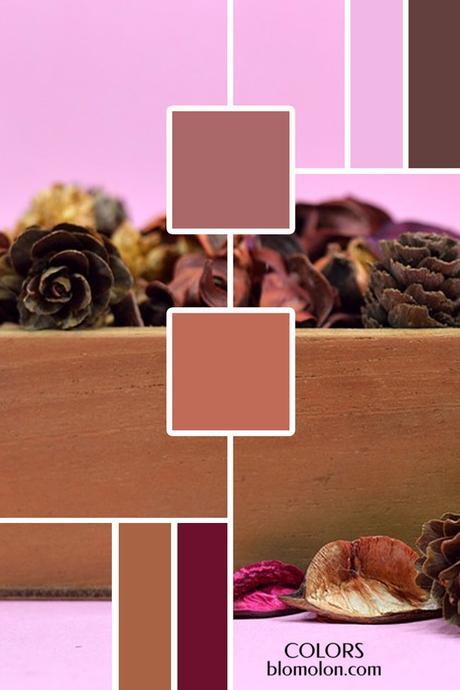 Plantillas Para Tus Paletas De Colores