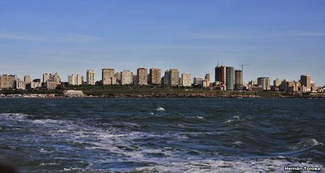 Salida pelágica en Mar del Plata (diciembre  2017)