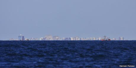 Salida pelágica en Mar del Plata (diciembre  2017)