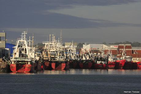 Salida pelágica en Mar del Plata (diciembre  2017)