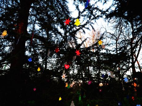 Polvorones de castañas