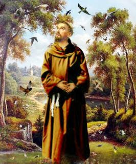 Las golondrinas de San Francisco