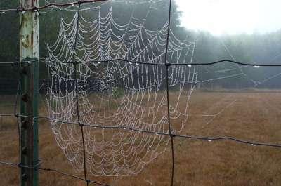 Costumbres navideñas III