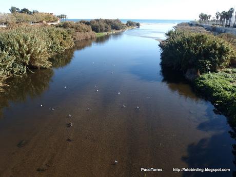 Desembocadura del río Besós