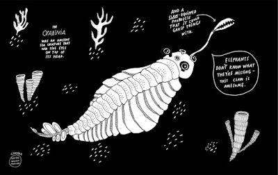 Animals of a Bygone Era: An Illustrated Compendium (Maja Säfström)