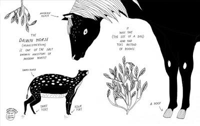 Animals of a Bygone Era: An Illustrated Compendium (Maja Säfström)