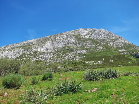 Tiatordos (Circuito desde Pendones por Piedrafita y Palombar)