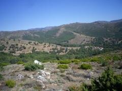 ¿Peñalba de la Sierra?
