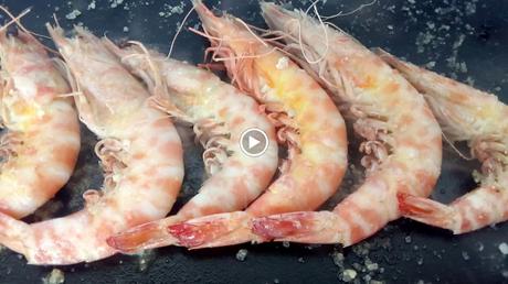 LANGOSTINOS A LA PLANCHA