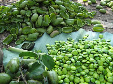 5-HTP Y LA DEPRESIÓN