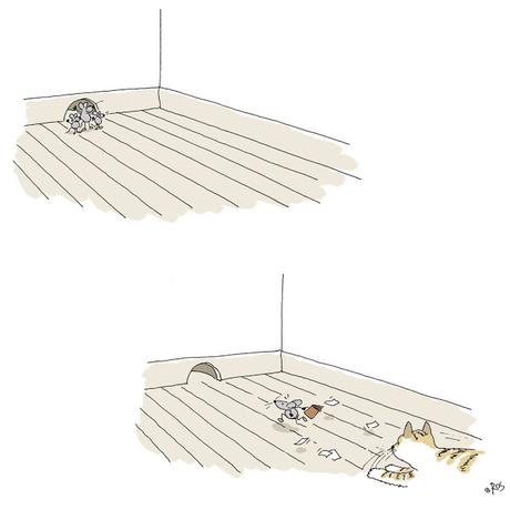 [Humor en cápsulas] Para hoy miércoles, 20 de diciembre