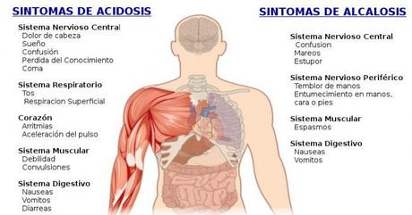El mito de la Alcalinizacion – Naturopata en Madrid