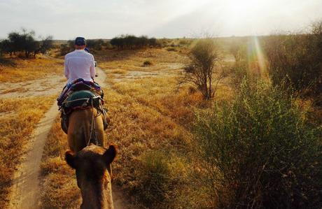 puñi-desierto