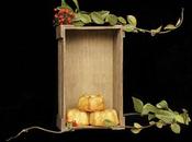 Bizcochos Leche Evaporada Naranja